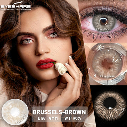 Par de Bruselas Brown de 14,0 mm | 1 año