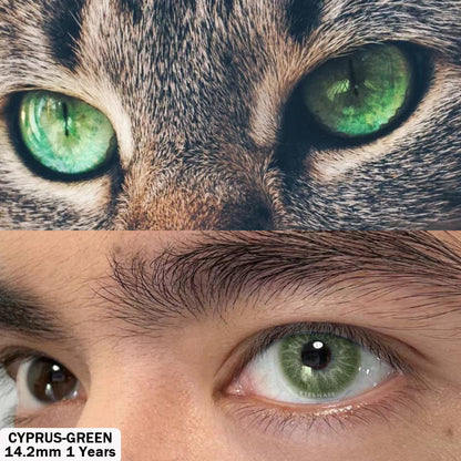 Cyprus Green 14.2mm 1 Pair | 1 Year