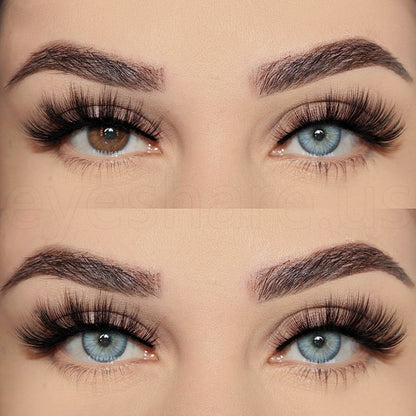 Estonia Blue 14.5mm 1 Pair | 1 Year