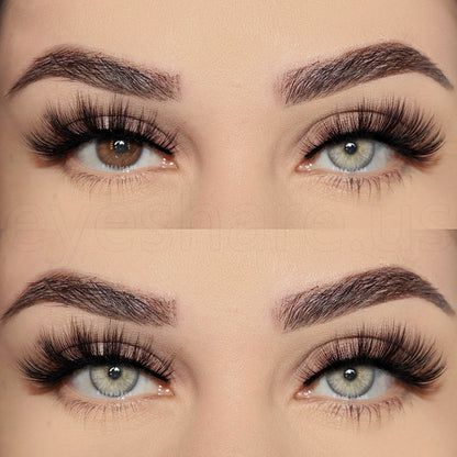 Estonia Gray 14.5mm 1 Pair | 1 Year