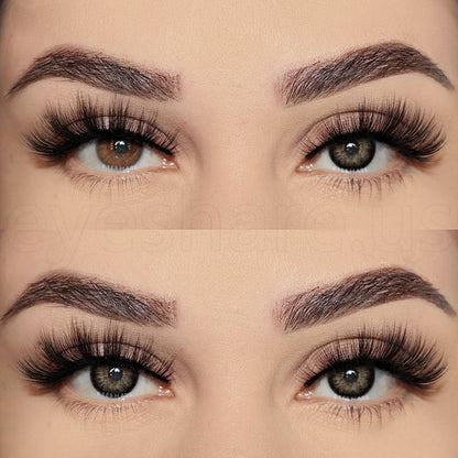 Pattaya Black 14,2 mm 1 par | 1 año