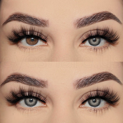 Pattaya Gray 14.2mm 1 Pair | 1 Year