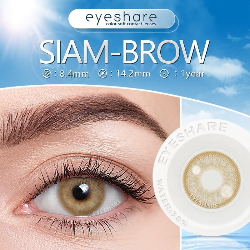Siam Brown 14.2mm 1 Pair | 1 Year