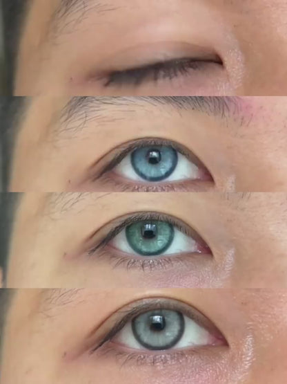 Semporna Gray 14.2mm 1 Pair | 1 Year