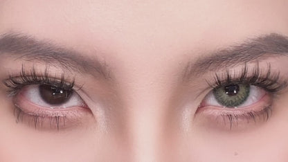 Pattaya Green 14.2mm 1 Pair | 1 Year