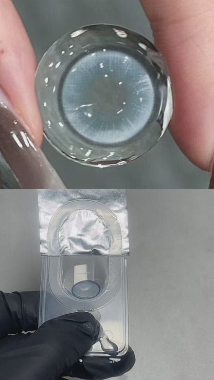 Boston Blue 14.2mm 1 Pair | 1 Year