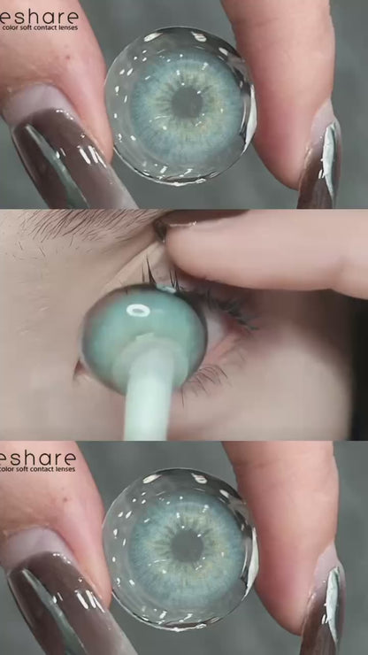 Azul Holanda 14,5 mm 1 par | 1 año